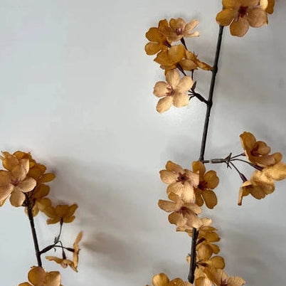 Blossom Light Coffee