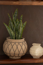 Bumi Pot