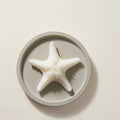 Kaars Zeester Wax Wit Large