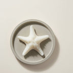 Kaars Zeester Wax Wit Large