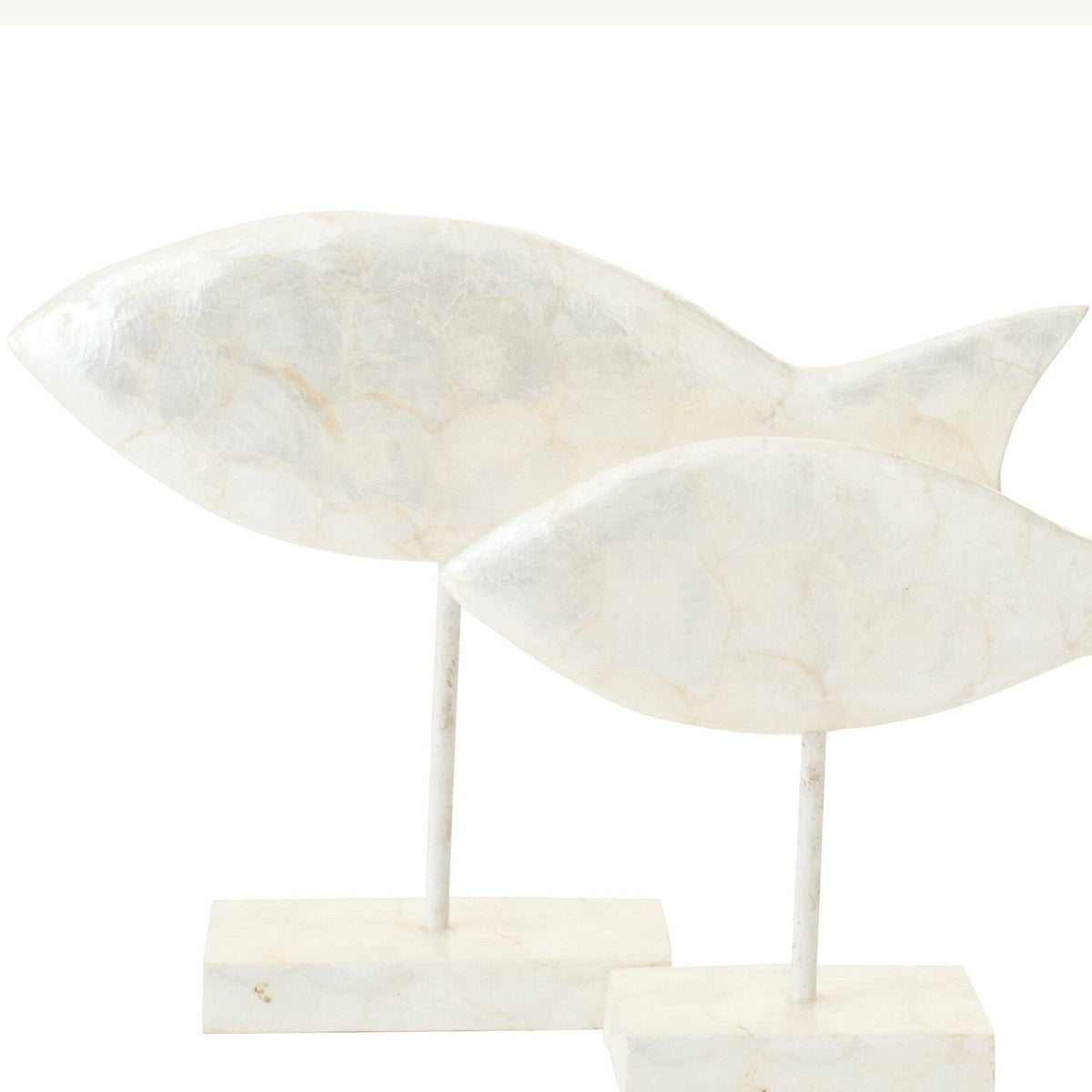 Ocean Shell Fish- Decoratie