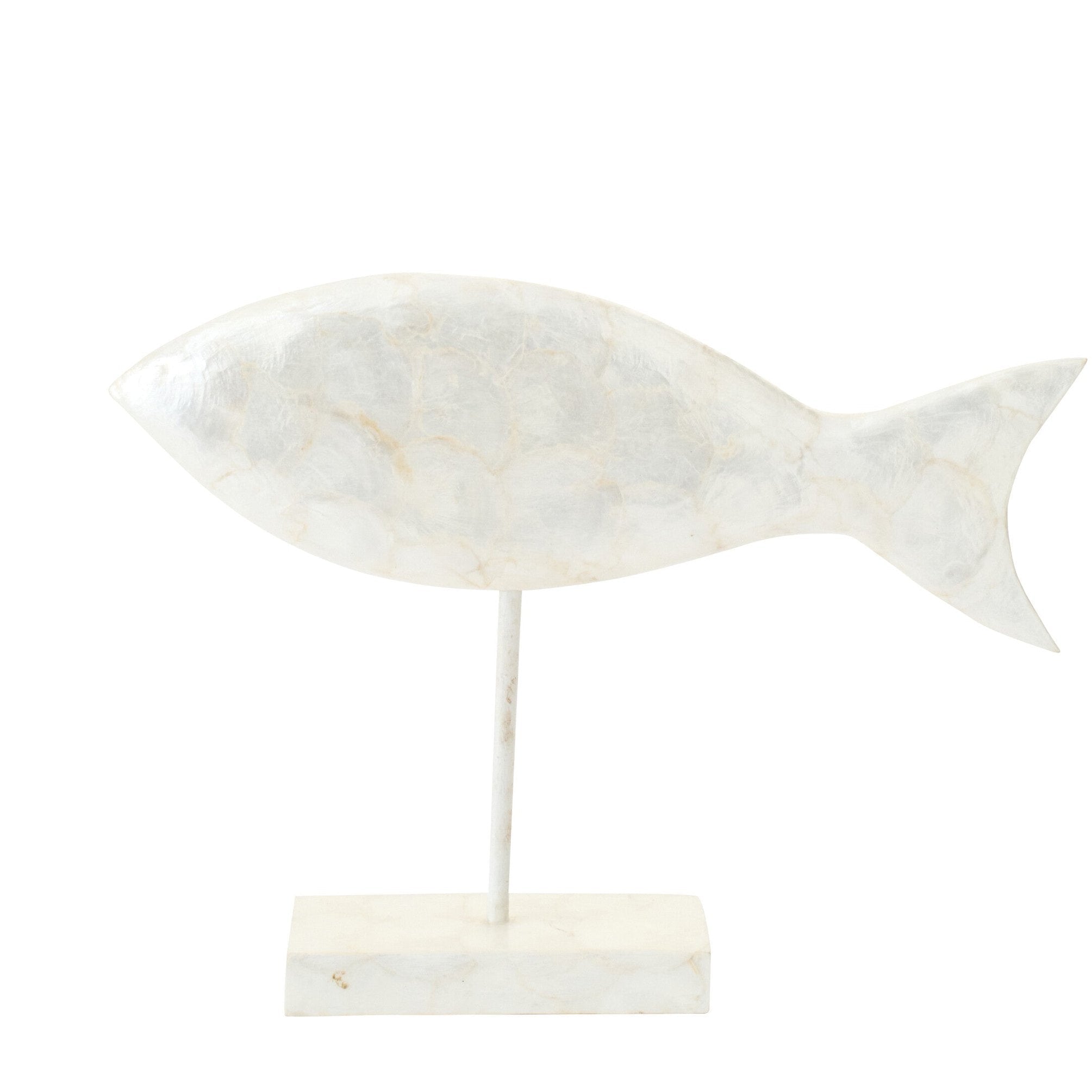 Ocean Shell Fish- Decoratie