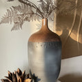 Asparagus fern
