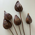 Sakai Pods