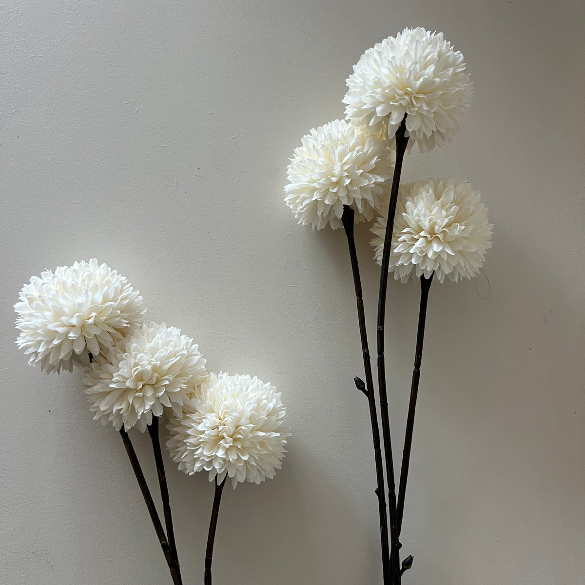 Pom wit