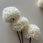 Pom wit