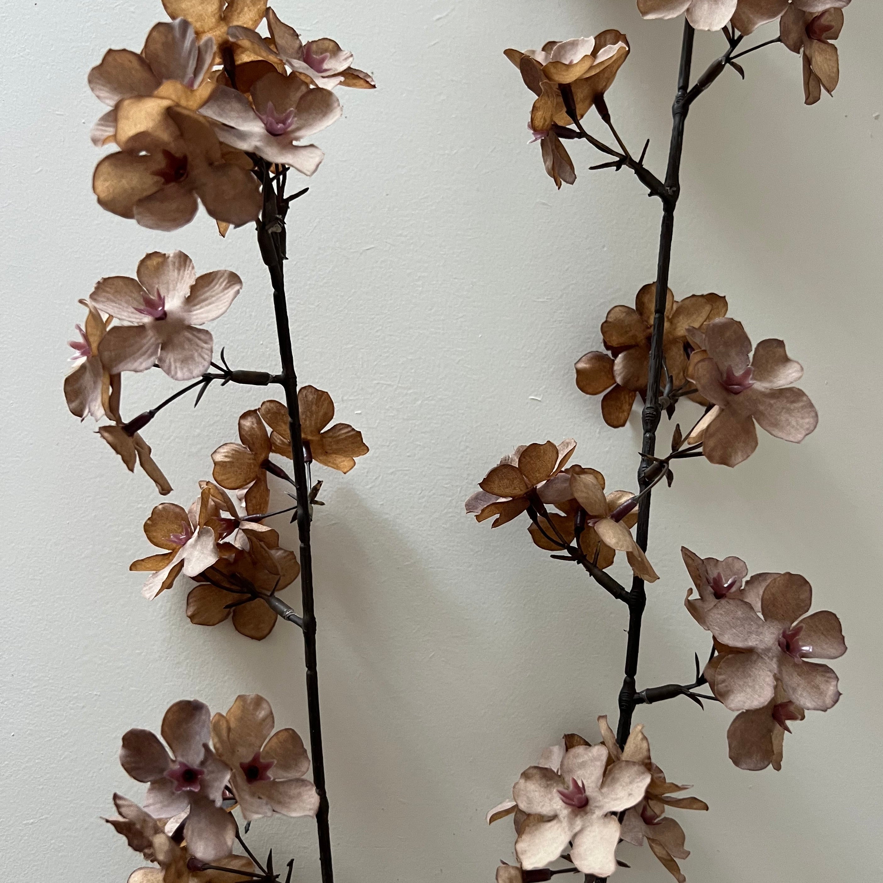 Blossom Dark Coffee