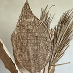 Daun Rotan