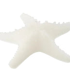 Kaars Zeester Wax Wit Large